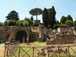  pins parasols et ruines antiques